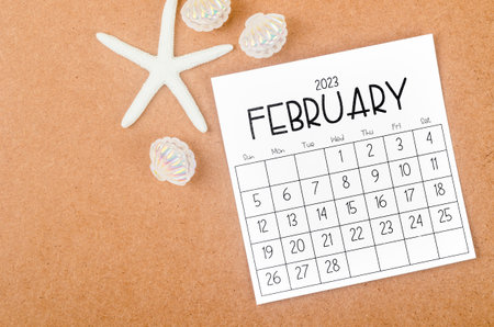 February 2023 Monthly calendar with Starfish on wooden background.の写真素材