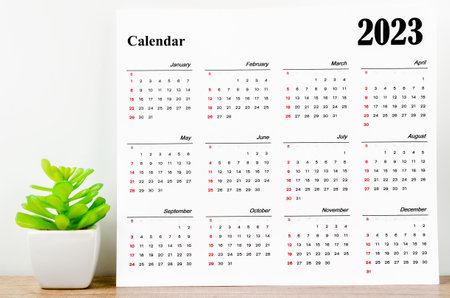 12 months desk calendar 2023 on wooden background with plant pot.の写真素材