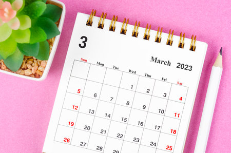 March 2023 desk calendar for 2023 with plant pot on pink colour background.の写真素材