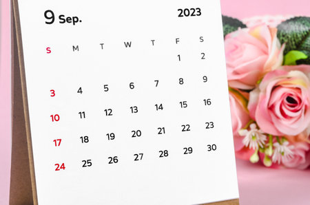 September 2023 Monthly desk calendar with dried rose on pink background.の写真素材
