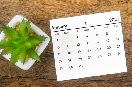 January 2023 Monthly calendar for 2023 year on wooden background.の写真素材