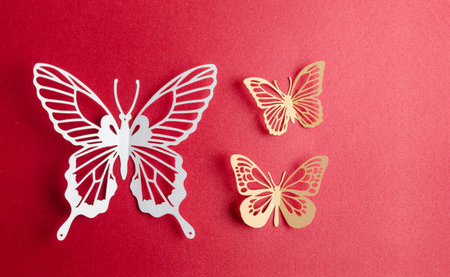 Paper butterfly carve on a red background with empty space.