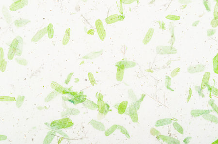 Mulberry paper texture, Top view Detail of green paper, background for aesthetic creative design