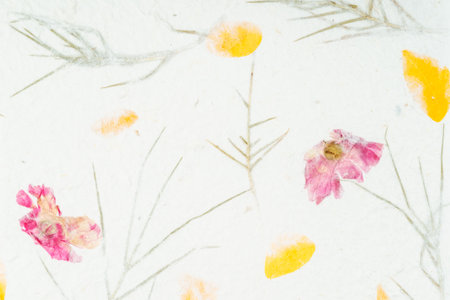 Handmade recycled flower and leaf paper background.の写真素材