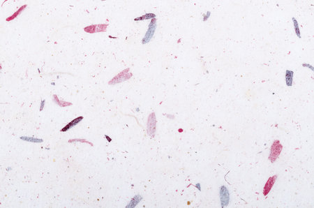 A mulberry paper with petal and leaf texture used for a background.の写真素材