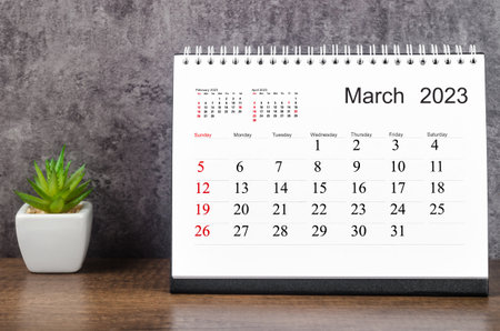 March 2023 Monthly desk calendar for 2023 year with small plant on wooden table.の写真素材
