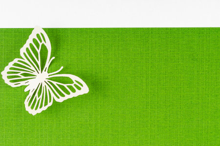 Butterfly made from carve paper or cutting on green and yellow background with empty space for your text or message.の写真素材