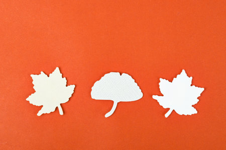 Carve of white paper maple leaves on a red background.