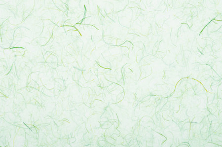 High resolution handmade recycled leaf paper background.の写真素材