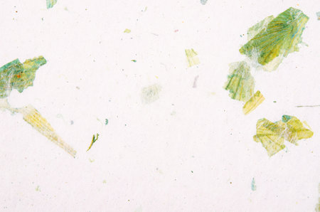 The White hand made paper with flower petals and grass.の写真素材
