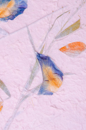 Paper made from dry flowers and leavesの写真素材