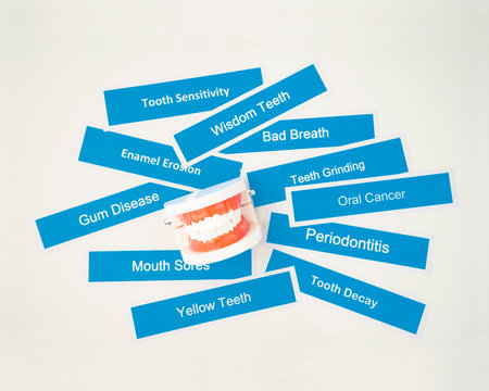 Dentures model with dental disease on white background.の写真素材