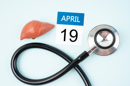April 19th calendar and liver human artificial with stethoscope medical. World Liver Day Concepts.の写真素材