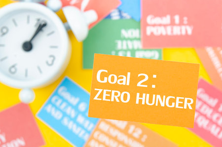 Goal 2 : Zero Hunger. The SDGs 17 development goals environment. Environment Development concepts.の写真素材