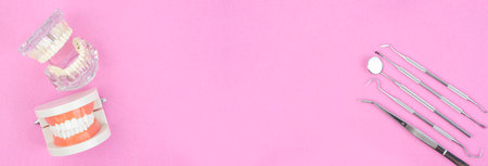 Model dentures and dental equipment with free space for dental care on pink color background...