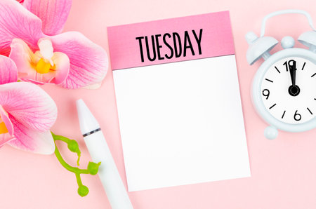 Blank note paper for Tuesday and orchid with alarm clock on pink color background for your text or message.の写真素材
