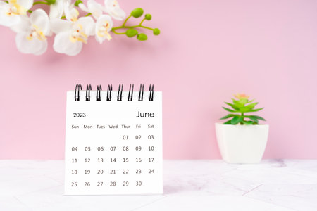 June 2023 desk calendar and white orchid one pink color background.の写真素材