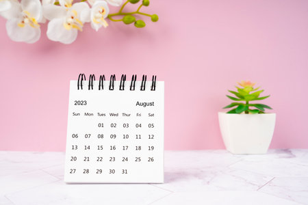 August 2023 desk calendar and white orchid one pink color background.の写真素材
