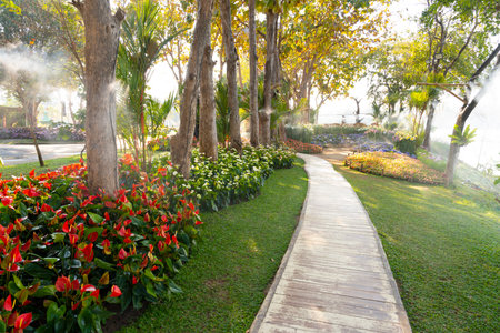 Walkway in Colorful flower in the Garden with sunlight.の写真素材