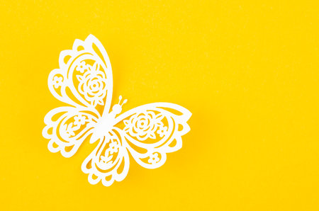 Paper butterfly carve on a yellow background with empty space.の写真素材