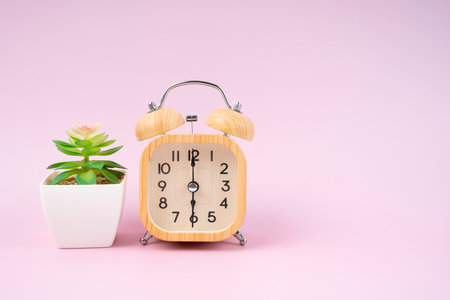Wooden alarm clock and plant pot on pink color floor with copy space for your design.の写真素材