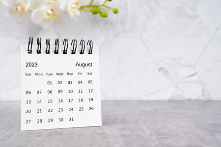 August 2023 desk calendar and white orchid.