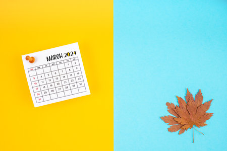 Top view of a March 2024 calendar and autumn foliage on a yellow and blue background. Empty space provided for text or advertising purposesの写真素材