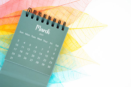 March 2024 monthly desk calendar and fiber structure of dry leaves texture, skeleton leaf on white background.の写真素材