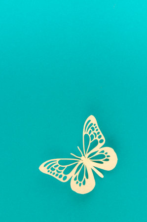 Paper butterfly carve on a green background, position with empty space.の写真素材