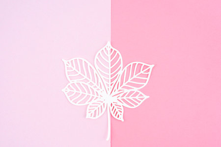 White leaf from cutting paper on pink color background.の写真素材