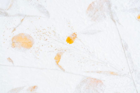 Mulberry paper with flower and leaves texture as background.の写真素材