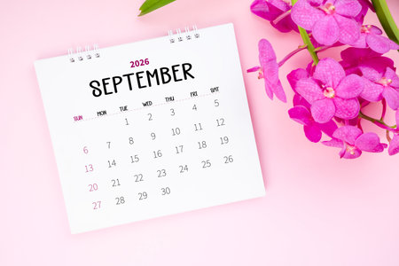September 2026 desk calendar and pink orchid on pink background.の写真素材