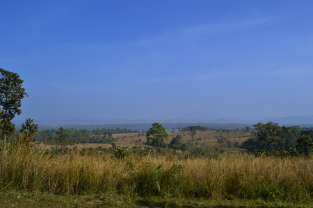Savanna landscape and its flora in Thailand, Phetchabun, Salangluang Nationalpark の写真素材