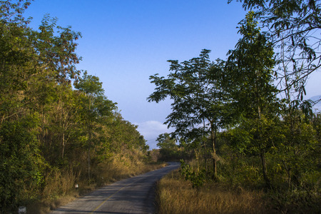 The Way Talamok-Phutok Road to Sea fog Loei Thailandの写真素材