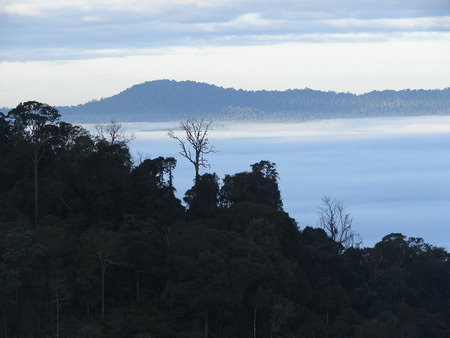 The sea fog at Khao Chamao District of Phetchabun province の写真素材