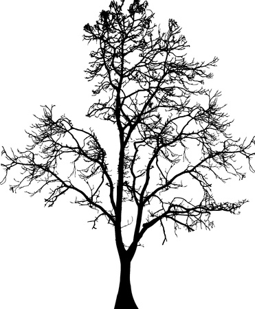 vector illustration of Tree Silhouette のイラスト素材