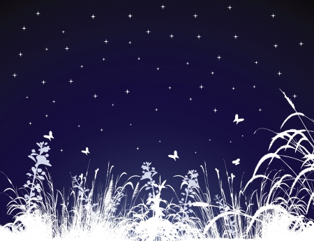 Vector Illustration of Summer Night のイラスト素材