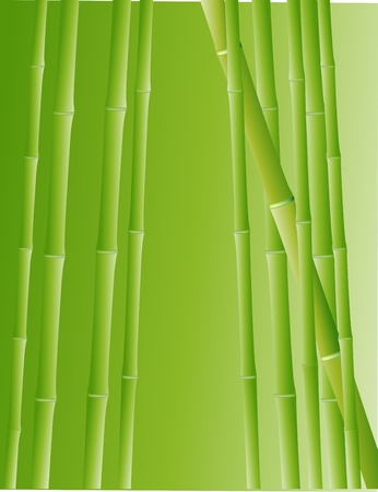 Vector Illustration Of Bamboo Forestのイラスト素材