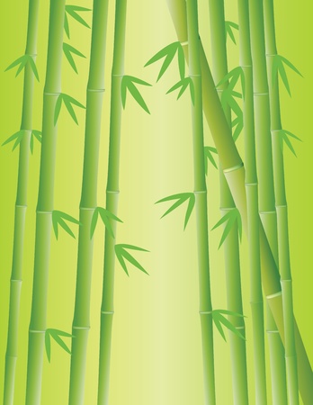 Vector Illustration Of Bamboo Forestのイラスト素材