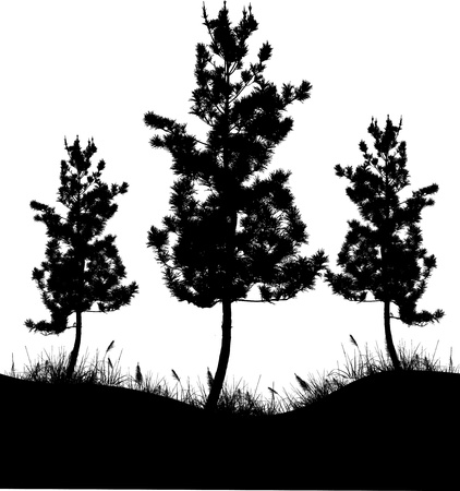 Vector Illustration Of Tree Silhouetteのイラスト素材