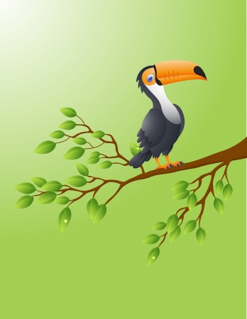 Vector Illustration Of Toucan birdのイラスト素材