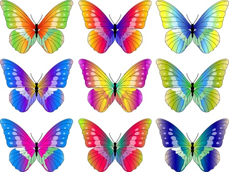 Vector Illustration Of Butterfly Collectionのイラスト素材