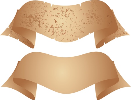 paper scroll isolated on whiteのイラスト素材