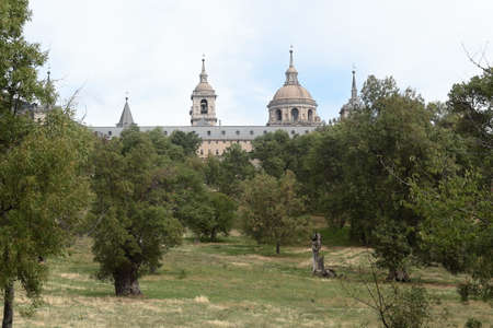 Forest of la HerrerÃ­a in San Lorenzo del Escorial, state of Madrid. Spainの写真素材