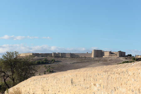Panoramic view of the walled town and castle of UrueÃ±a in the province of Valladolid,Castile and...