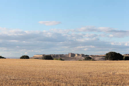 Panoramic view of the walled town and castle of UrueÃ±a in the province of Valladolidのeditorial素材