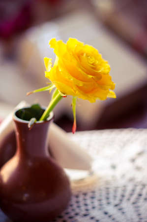 Yellow rose in the vaseの写真素材