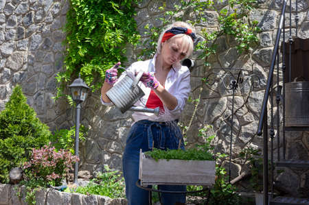 Beautiful middle aged woman with blond hair in white shirt and blue jeans watering plants in flower box.の写真素材