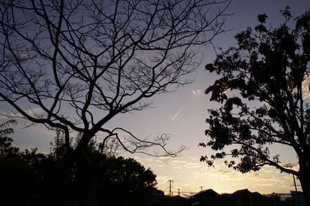 before the nightの写真素材
