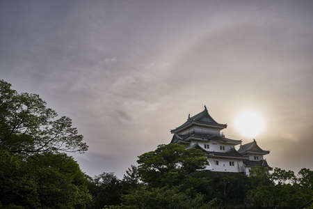 Wakayama Castle Wakayama Castleのeditorial素材